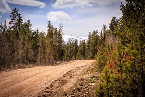 Mountains looking north.